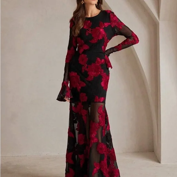 Anewsta Elegant Black and Red Floral Dress - Picture 4 of 14